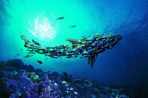 凈水器能過濾微型塑料嗎？